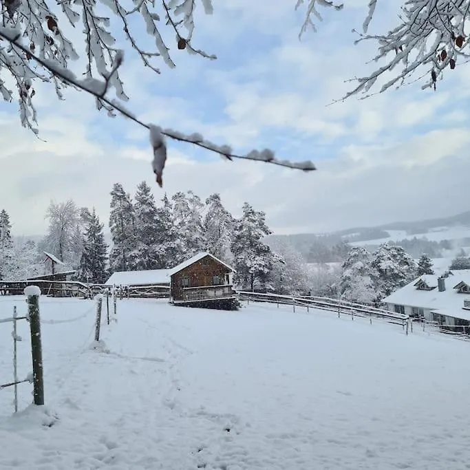 Holzhuette Allein Am Waldrand Saldenburg Holiday home