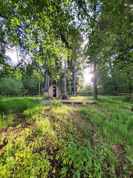 Holzhuette Allein Am Waldrand Saldenburg Holiday home